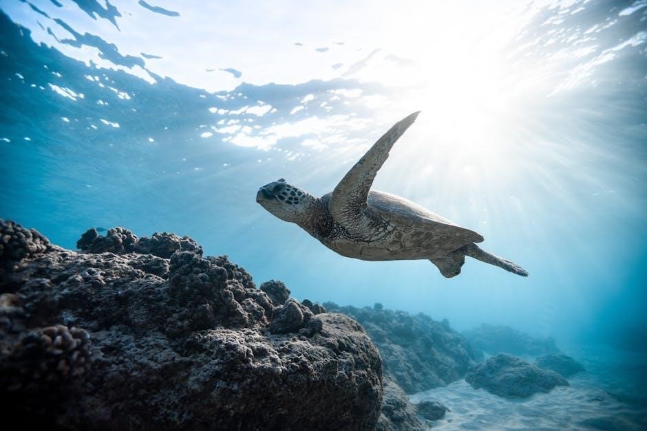 hawaii reef fish guide