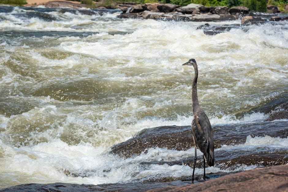 boise river guides