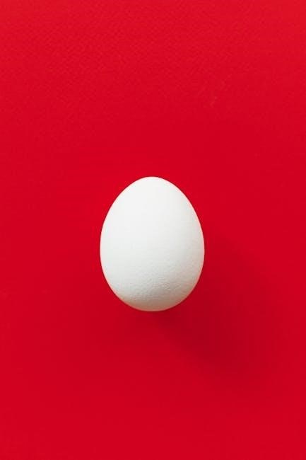 egg maker instructions
