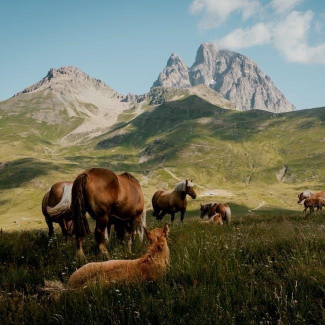 d&d 5e sorcerer guide