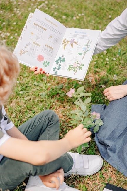 study guide for the book of john