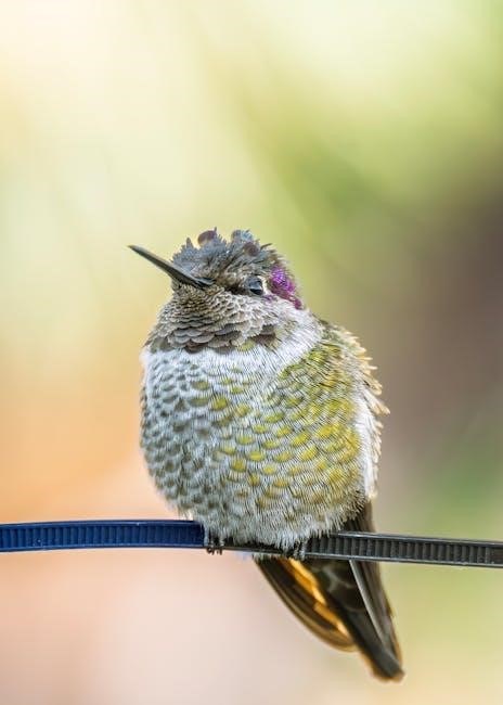 a small place jamaica kincaid pdf